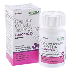 Carodyl Chewable (Carprofen) product photo