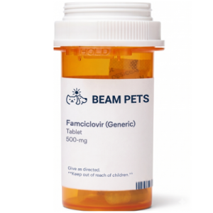 Famciclovir product photo